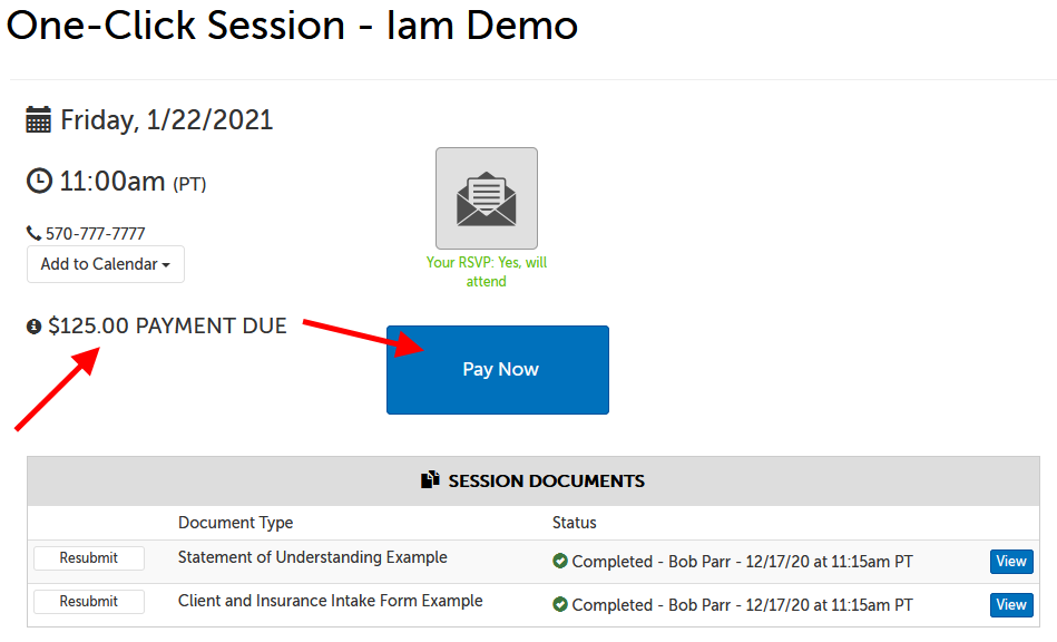 Arrow pointing at payment due amount, then Pay Now button